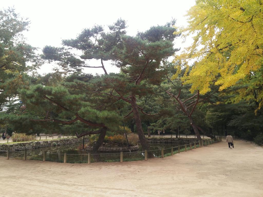 Sunny & Jinny'S Bnb Seoul Luaran gambar